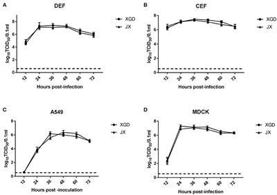 139D in NS1 Contributes to the Virulence of H5N6 Influenza Virus in Mice